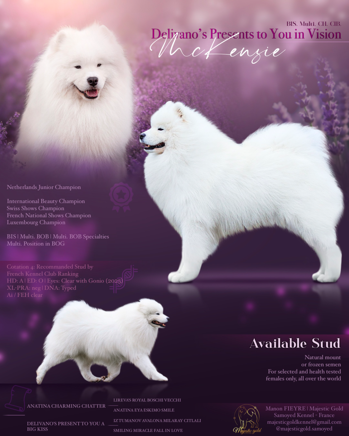 CH. Delivano's presents to you In vision