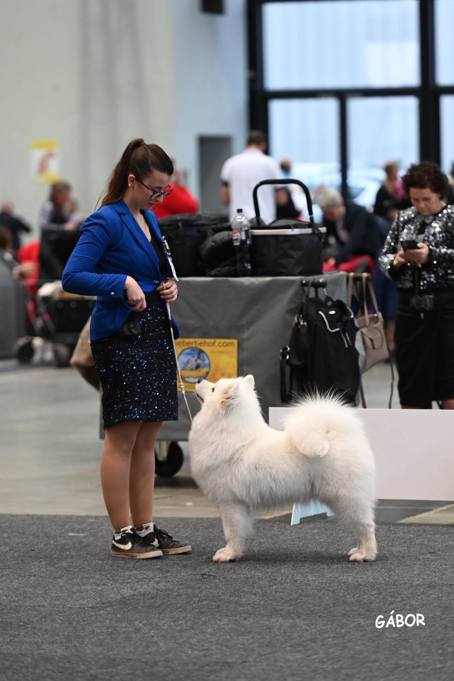 CH. Majestic Gold Unforgettable evidence